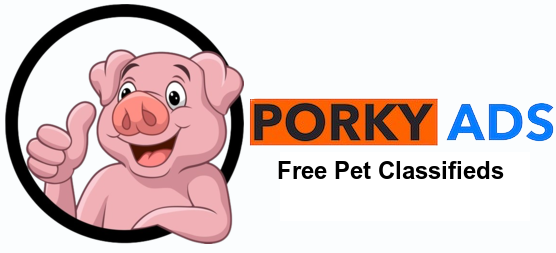 Porky Ads